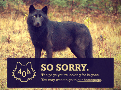 Wolf 404 page