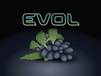 Evol Logo t shirt logo