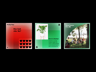 Social media posts for Plant nursery art direction branding figma gradients graphic design social media visual design
