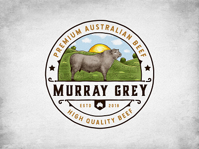 Murray Grey australia australian beef beef bio classic cow design illustration logo murray organic rustic vintage
