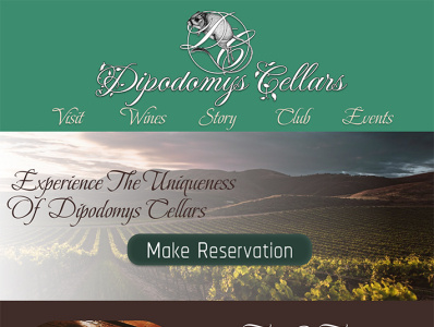 Dipodomys Cellars brand identity branding copywrite copywriting design graphic design logo ui