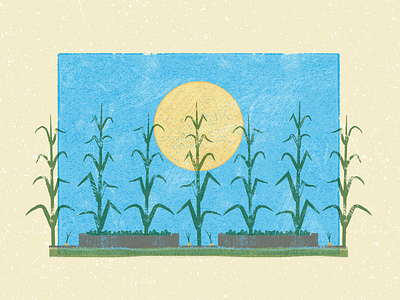 Backyard Gardners blend color farm garden grass illustration illustrator layers print summer sun texture