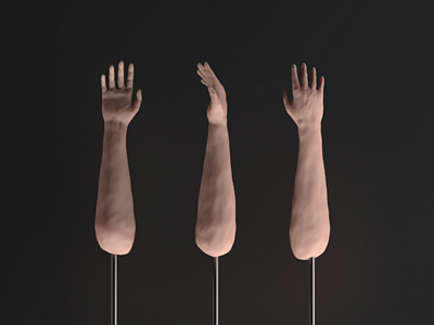 Arm sculpt 3d sculpt anatomy body c4d human illustration redshift zbrush