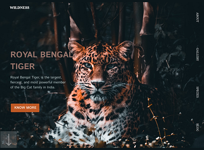 WILDLIFE LANDING PAGE DESIGN app branding design graphic design illustration ui ux website design