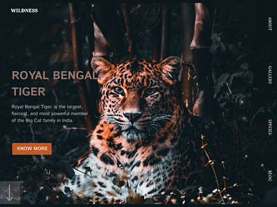 WILDLIFE LANDING PAGE DESIGN