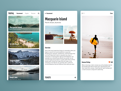 TRIPPAL adviser app concept design travel ui