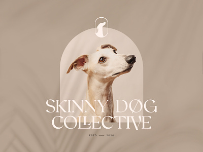 Skinny Dog Logo advertising brandbranding classy display dog elegant fashion light logo luxury minimalist modern serif stylish typeface typography