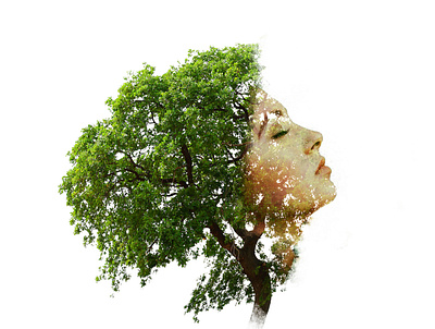 Tree woman adobe photoshop graphic design tree tree woman woman