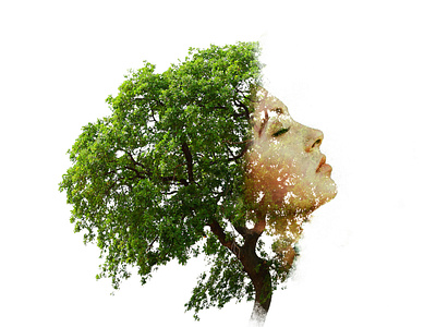 Tree woman adobe photoshop graphic design tree tree woman woman