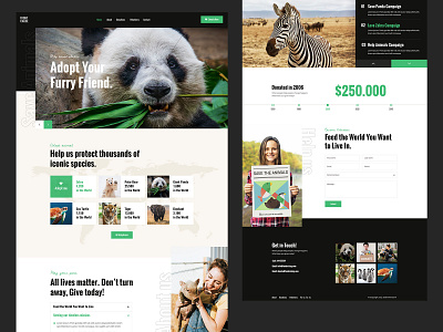 RightCause - Charity and Donation Theme animals charity colorful design donation fundraising landing landing page modern rightcause theme ui ux wordpress