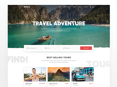 Travel Landing page bridge clean design landing page modern theme travel ui ux web wordpress