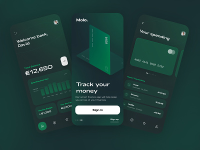Molo - Budgeting App concept