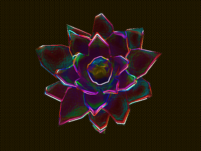 Florals: Logo