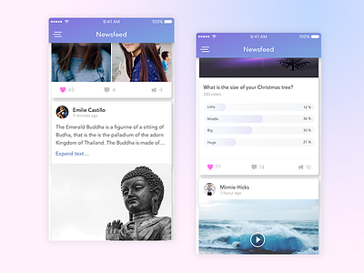 Social Network Feed feed gallery ios mobile news news feed newsfeed poll survey ui video