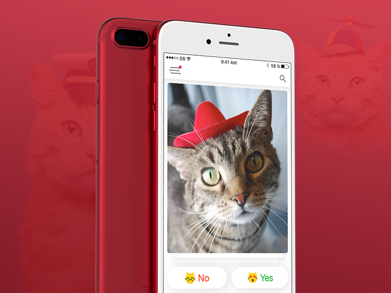 Tinder for cats