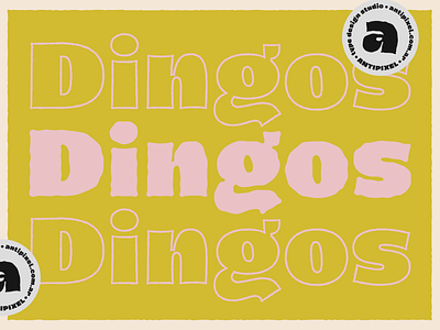 Dingos NEW TYPEFACE alternates anti bold border contextual design fat font free heavy inline ligature outline stamp sticker texture tipografia type typeface typography