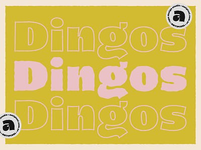 Dingos bold book border cool cover fat font handwritten headline heavy kids outline rough smooth texture tipografia title type typeface typography