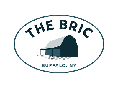 Bric logo branding design logo