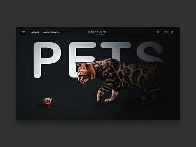 Website for pet lovers designer home page photoshop site ux