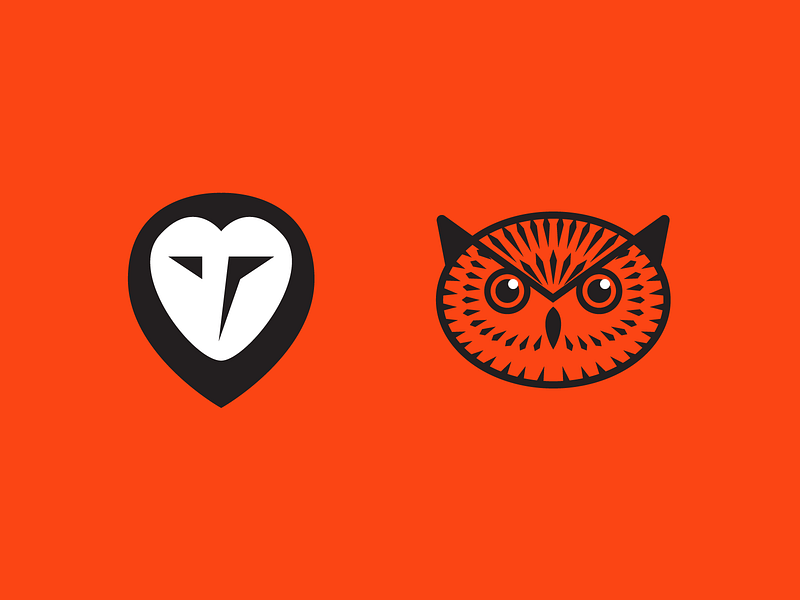 Browse thousands of Owl images for design inspiration | Dribbble