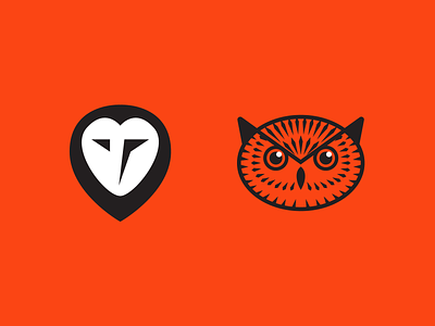 Owls bird icon illustration owl vector