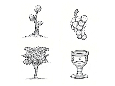 The Branches & The Vines cup grapes illustration ink plant vines