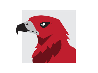 Keen-eyed Hawk bird eagle hawk illustration jajo vector