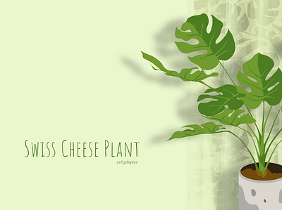 Swiss Cheese Plant with curtain(seamless pattern) pattern seamlesspattern