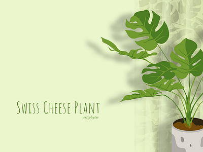 Swiss Cheese Plant with curtain(seamless pattern)