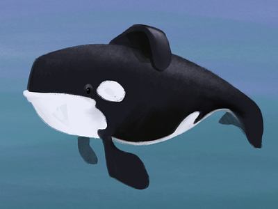 Orca Concept Art Illustration concept art illustration killer whale orca