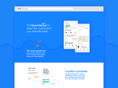 MeterGenius Website branding messaging product design website