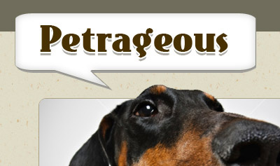 Petrageous Logo brown logo website