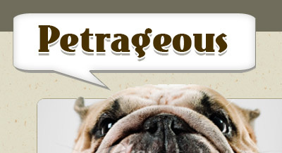 Petrageous Logo Variant brown logo website