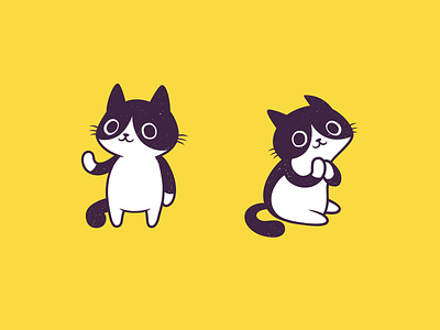 Pied Cat cat characterd cute design funny illustration mascot sticker