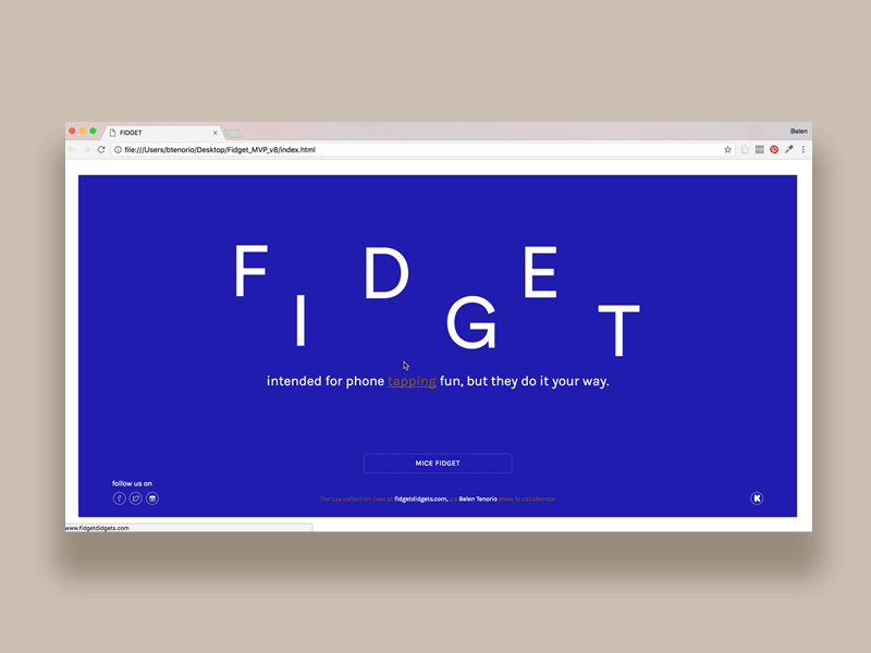 Fidget Website