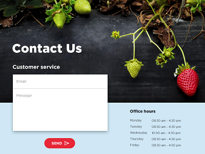 Contact Us - Day 028 #DailyUi contact us dailyui farmer form fruit office hours strawberry