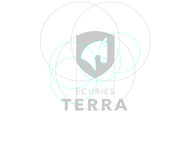 Ecuries Terra - branding process branding design franck gaudin horse stables