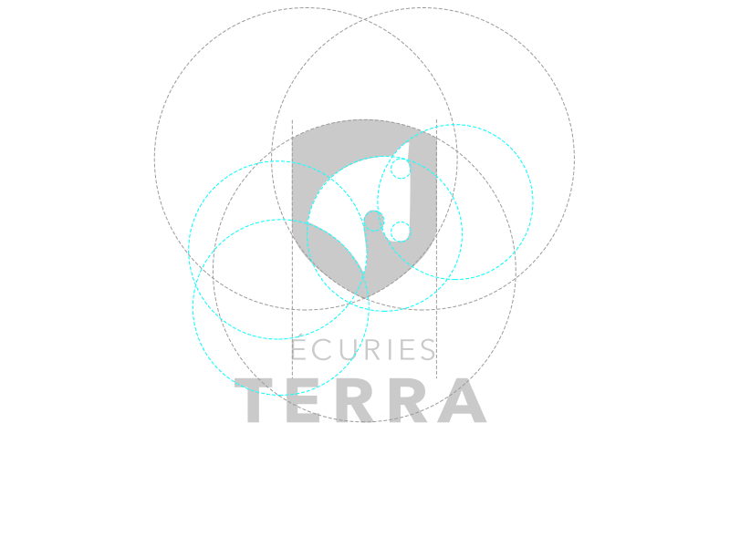 Ecuries Terra - branding process