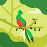 md alif rahman shefat