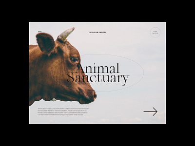 Animal Sanctuary design minimalist simple ui web webdesign website
