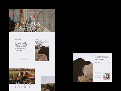 Animal Sanctuary Inner design font minimal minimalist simple typography ui web webdesign website