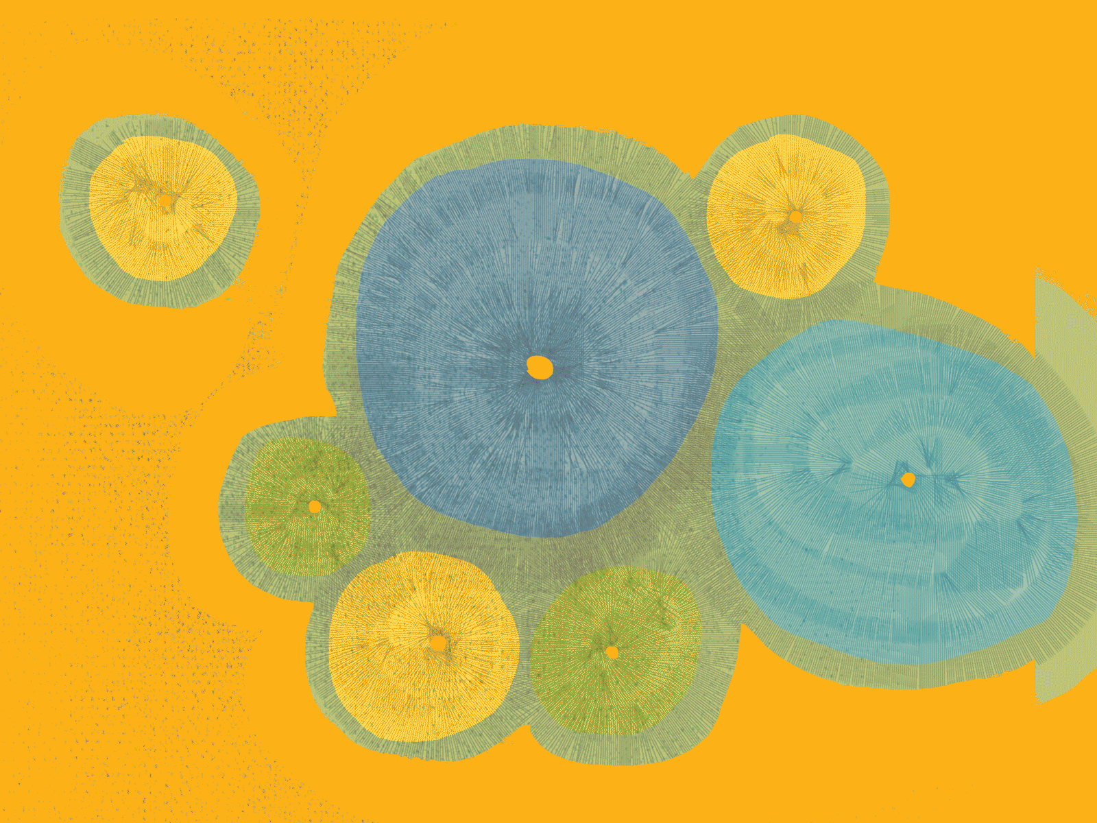Tangerine Urchin Festival abstract art animation digital painting