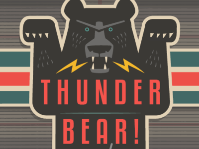 Thunder Bear on Plaid advertising character animal bear bear illustration bear logo bears branding cartoon design cartoon mascot illustration mascot pattern design stickers textile pattern