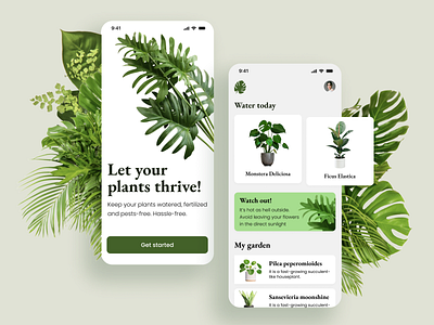 Plant care app app clean green home mobile plant plants ui wellness