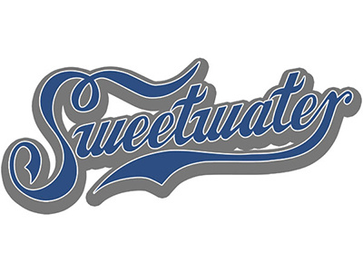 Band Logo branding identity illustrator logo vector