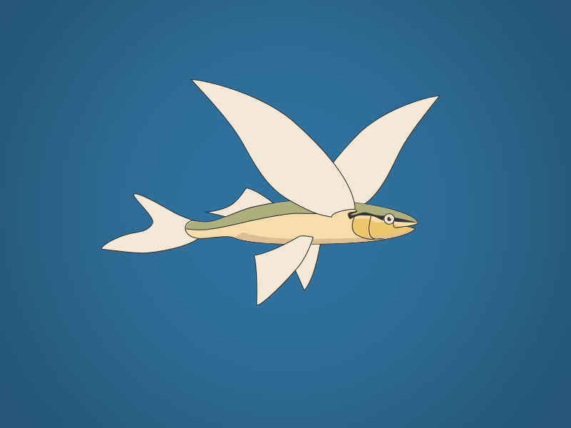 Flyingfish by Eric Wu on Dribbble