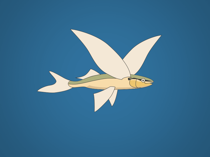 Flyingfish flying fish gif illustrator
