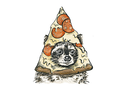 Trash Panda Pizza illustration pizza procreate raccoon snack