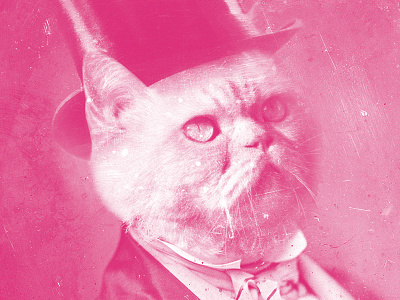 Jessica Hische SOD Poster cats classy monotone photo manipulation poster top hat