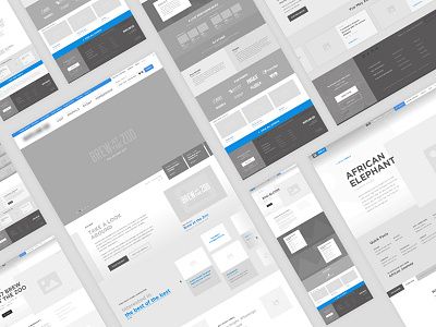 Zoo Wireframes animals user experience ux wireframes zoo